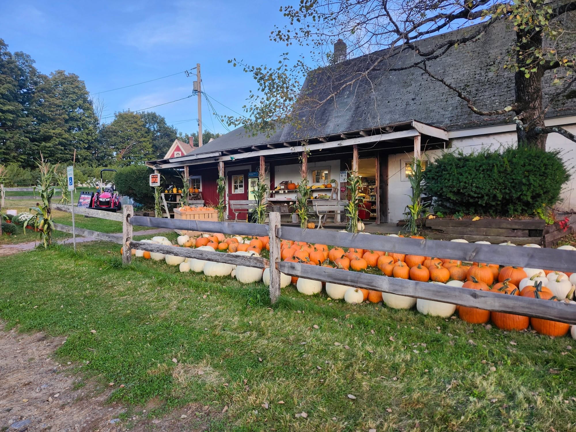 Meadow Ledge Farm’s country store with pumpkins along the wooden fence and autumn decorations on the porch